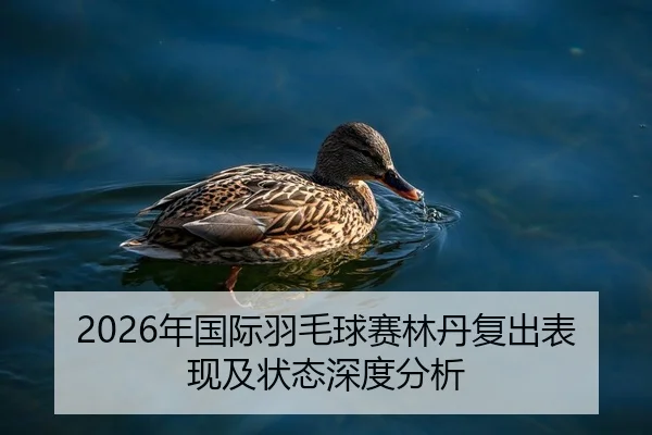 2026年国际羽毛球赛林丹复出表现及状态深度分析