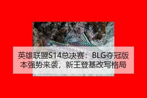 ying-xiong-lian-meng-zong-jue-sai-duo-guan-ban-ben-qiang-shi-lai-xi-xin-wang-deng-ji-gai-xie-ge-ju-3-166.jpg
